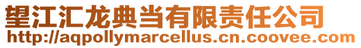 望江匯龍典當有限責任公司