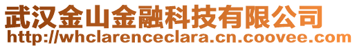 武漢金山金融科技有限公司