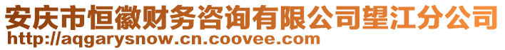 安慶市恒徽財務咨詢有限公司望江分公司