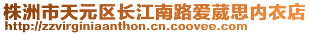 株洲市天元区长江南路爱葳思内衣店