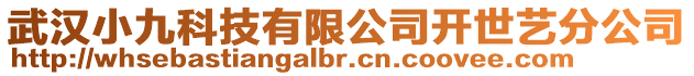 武漢小九科技有限公司開世藝分公司