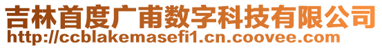 吉林首度廣甫數(shù)字科技有限公司