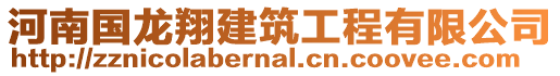 河南國龍翔建筑工程有限公司