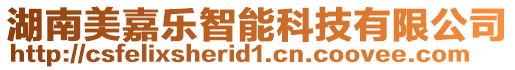 湖南美嘉樂智能科技有限公司