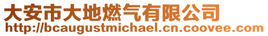 大安市大地燃氣有限公司