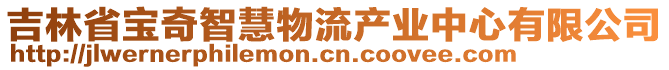 吉林省寶奇智慧物流產(chǎn)業(yè)中心有限公司