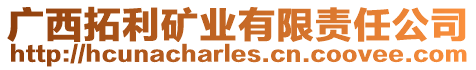 廣西拓利礦業(yè)有限責任公司