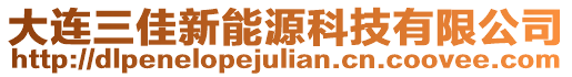 大連三佳新能源科技有限公司