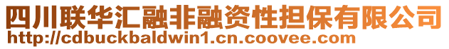 四川聯(lián)華匯融非融資性擔(dān)保有限公司