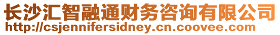 長(zhǎng)沙匯智融通財(cái)務(wù)咨詢有限公司
