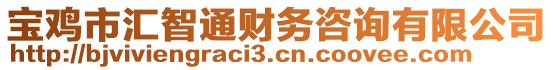 寶雞市匯智通財務咨詢有限公司