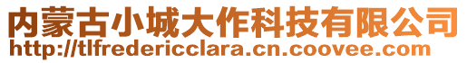 內(nèi)蒙古小城大作科技有限公司