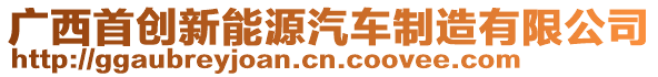 廣西首創(chuàng)新能源汽車制造有限公司