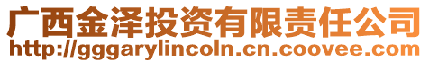 廣西金澤投資有限責任公司