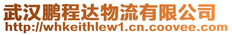 武漢鵬程達物流有限公司