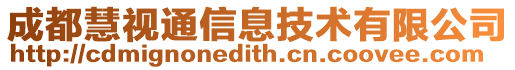 成都慧視通信息技術有限公司
