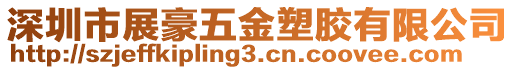 深圳市展豪五金塑膠有限公司