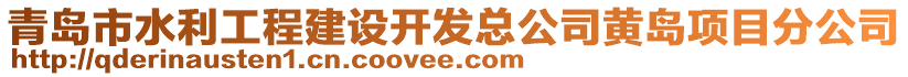 青島市水利工程建設(shè)開(kāi)發(fā)總公司黃島項(xiàng)目分公司