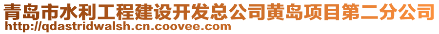 青島市水利工程建設(shè)開發(fā)總公司黃島項(xiàng)目第二分公司