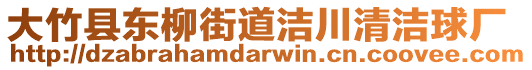 大竹縣東柳街道潔川清潔球廠