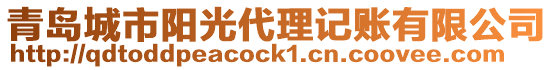 青島城市陽(yáng)光代理記賬有限公司