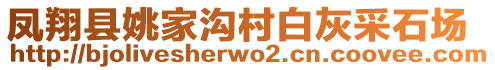 鳳翔縣姚家溝村白灰采石場