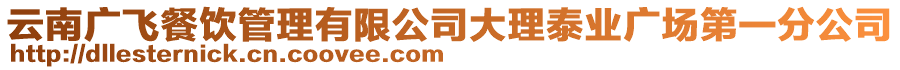 云南廣飛餐飲管理有限公司大理泰業(yè)廣場(chǎng)第一分公司