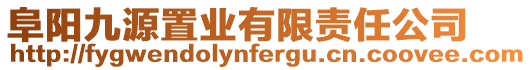 阜陽九源置業有限責任公司