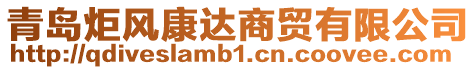 青島炬風康達商貿有限公司