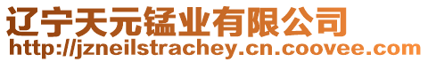 遼寧天元錳業有限公司