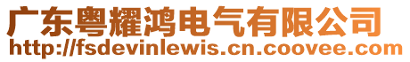 廣東粵耀鴻電氣有限公司
