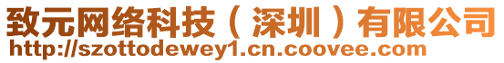 致元網絡科技(深圳)有限公司
