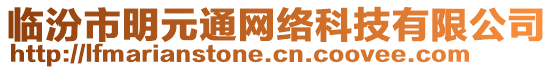臨汾市明元通網絡科技有限公司