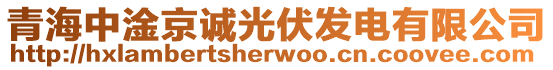 青海中淦京誠光伏發(fā)電有限公司