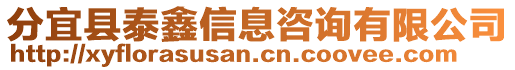 分宜縣泰鑫信息咨詢有限公司