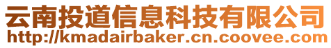 云南投道信息科技有限公司
