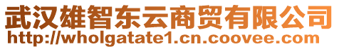 武漢雄智東云商貿有限公司