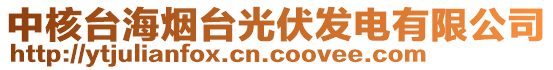 中核臺海煙臺光伏發(fā)電有限公司