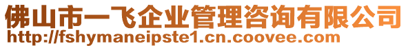 佛山市一飛企業(yè)管理咨詢有限公司