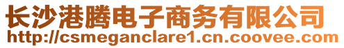 長沙港騰電子商務有限公司
