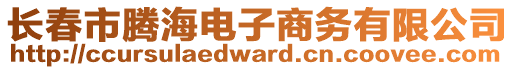 長春市騰海電子商務(wù)有限公司