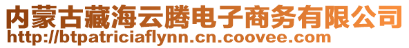 內(nèi)蒙古藏海云騰電子商務(wù)有限公司