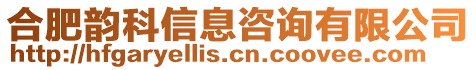 合肥韻科信息咨詢有限公司