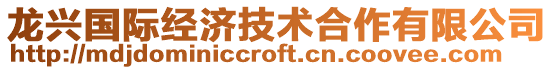 龍興國(guó)際經(jīng)濟(jì)技術(shù)合作有限公司