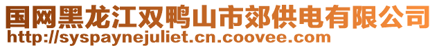 國(guó)網(wǎng)黑龍江雙鴨山市郊供電有限公司