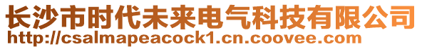 長沙市時(shí)代未來電氣科技有限公司