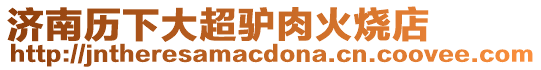 濟(jì)南歷下大超驢肉火燒店