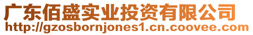 廣東佰盛實(shí)業(yè)投資有限公司