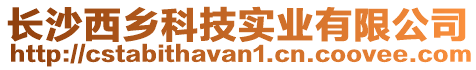 長沙西鄉科技實業有限公司