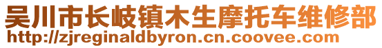 吳川市長岐鎮(zhèn)木生摩托車維修部